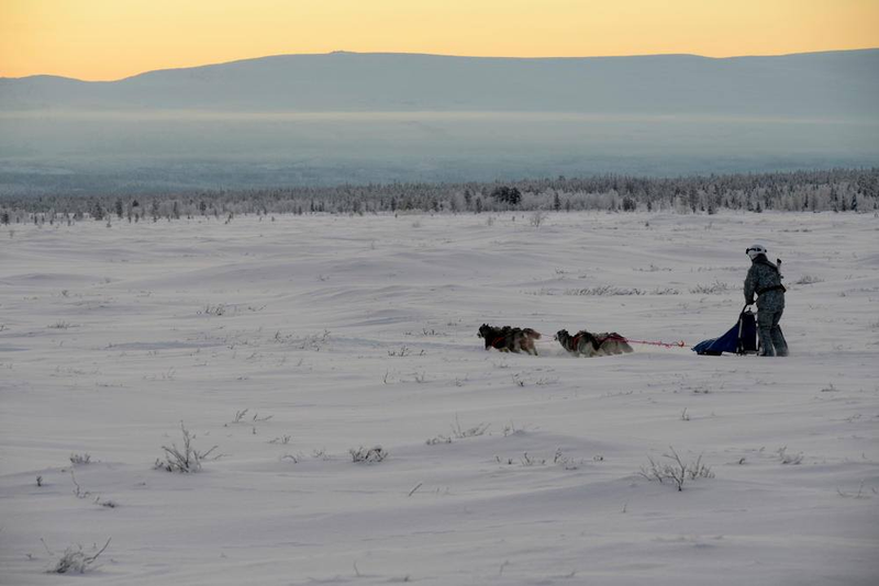 Illustration for article titled Russian Soldiers Go Native For Arctic Ops Using Reindeer And DogsledsĀ